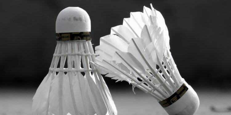 iphone xs max badminton wallpapers