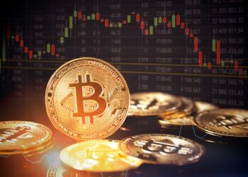 lido quiz answers cointips.info